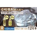 焼酎 麦 全12回定期便 壱岐スーパーゴールド22度と