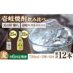焼酎 麦 全6回定期便 壱岐スーパーゴールド22度と