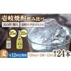 焼酎 麦 全12回定期便 壱岐スーパーゴールド22度と