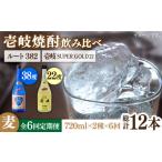 焼酎 麦 全6回定期便 壱岐スーパーゴールド22度とルート382