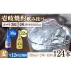 焼酎 麦 全12回定期便 壱岐スーパーゴールド22度とルート382