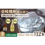 焼酎 麦 全6回定期便 壱岐の島 伝匠 と壱岐スーパーゴール…