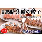 惣菜 レトルト 冷凍 3種のぎょうざ食べ比べセット 54個