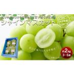 ふるさと納税 ぶどう マスカット 愛媛県 内子町 内子町産 シャインマスカット ムジ 3〜5房 約2kg 2026年8月下旬〜発送開始 シャインマスカット 大人気 愛媛県 …