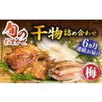 干物 アジ 全6回定期便 ひものや つかもとの旬のおまかせ干…