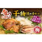 干物 アジ 全12回定期便 ひものや つかもとの旬のおまかせ…