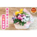 苗木 寄せ植え 花苗の12回定期便 お花 花