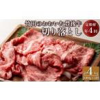 牛肉 しゃぶしゃぶ 定期便 おおいた豊後牛