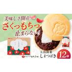 菓子 饅頭 椿の花モチーフのサクサク最中