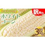 とうもろこし 予定 訳あり 容量 ホワイトコーン 約3kg