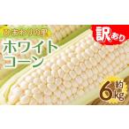 とうもろこし 予定 訳あり 容量 ホワイトコーン 約6kg