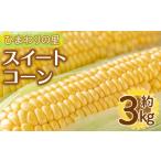 とうもろこし 予定 イエローコーン 約3kg