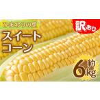 とうもろこし 予定 訳あり イエローコーン 約6kg