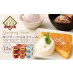 ふるさと納税 菓子 アイス 大分県 竹田市 ガンジーアイス 12個セット(バニラ、チョコ、ストロベリー)