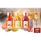 果汁飲料 セット 地熱ビネガーミニボトル3種セット