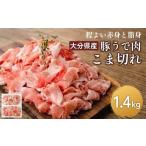 豚肉 カレー シチュー 豚うで 肉のこま切れ 1.4kg