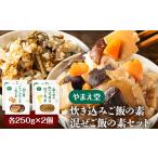加工品等 炊き込みご飯の素 混ぜご飯の素セット 各250g×2個