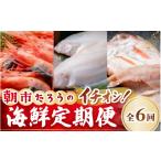 エビ あまエビ 6ヶ月連続お届け 朝市たろうのイチオシ
