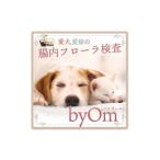 体験チケット 愛犬 愛猫の腸内フローラ解析