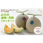 ふるさと納税 メロン メロン赤肉 北海道 富良野市 ふらの赤肉・青肉メロンセット　1.6kg×2玉(各1玉) 1296168