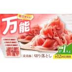 豚肉 12回定期便 切り落とし 産豚 豚肉切り落とし 1kg