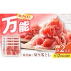 豚肉 12回定期便 切り落とし 豚切り落とし 計2kg