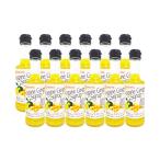 果汁飲料 ジンジャーシロップ 200ml×12本