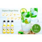 果汁飲料 ジンジャーシロップ 200ml×3本