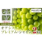 オアシス プレミアム シャイン 約2kg