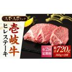 牛肉 ヒレ 全2回定期便 A5 A4ランク 壱岐牛