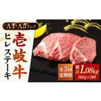 牛肉 ヒレ 全3回定期便 A5 A4ランク 壱岐牛