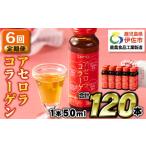 果汁飲料 isa373 6回定期便 コラーゲン