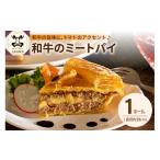 惣菜 レトルト 冷蔵 和牛のミートパイ 約21cm