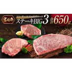 牛肉 ヒレ 宮崎牛 サーロイン リブロース ステーキBIG3 合…