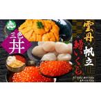 ふるさと納税 いくら 北海道 弟子屈町 3429. うに チリ産 冷凍 100g 鱒いくら醤油漬け 100g ホタテ 100g セット ウニ 雲丹 いくら イクラ ますいくら ほたて …