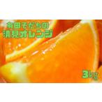 みかん 柑橘類 オレンジ 有田育ちの完熟清見オレンジ