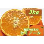 みかん 柑橘類 オレンジ 有田育ちの爽快セミノールオレンジ
