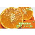 みかん 柑橘類 オレンジ 有田育ちの爽快セミノールオレンジ