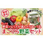 セット 詰合せ 滝沢まごころ 野菜セット 5品