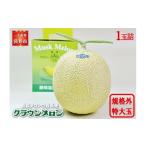ふるさと納税 メロン メロン青肉 静岡県 袋井市 クラウンメロン 規格外特大玉(約1.7Kg〜)1玉入