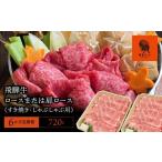 牛肉 ロース 6か月定期便 飛騨牛 ロースまたは肩ロース720g