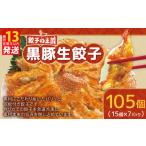 ふるさと納税 熊本県 熊本市 餃子の王国 黒豚 生餃子 105個 255g 15個 7パック 餃子