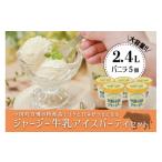ふるさと納税 菓子 アイス 熊本県 小国町 JA阿蘇 「阿蘇小国ジャージーアイスクリーム」パーティセット2.4L(バニラ480ml×5)