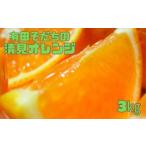みかん 柑橘類 オレンジ 有田育ちの完熟清見オレンジ