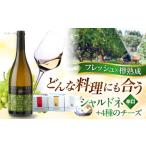 ワイン セット 奥出雲葡萄園 白ワイン 木次乳業チーズセット