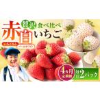 いちご 2027年1月~発送 4回定期便