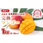 ショッピングふるさと納税 マンゴー ふるさと納税 マンゴー 宮崎県 西都市  長友農園 訳あり家庭用完熟マンゴー1kg 2〜3玉 宮崎県西都 産生産者直送 宮崎県 完熟マンゴー 1.2-59