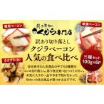 ふるさと納税 魚貝類 山口県 下関市 訳あり 切り落とし クジラベーコン人気の食べ比べ三種セット（各200g） くじら専門店 肉特集