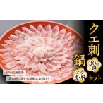 旬の鮮魚等 幻の高級魚 を北九州の海から新鮮にお届け