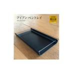 fc-05-009 アイアン ペントレイ